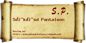 Sükösd Pantaleon névjegykártya